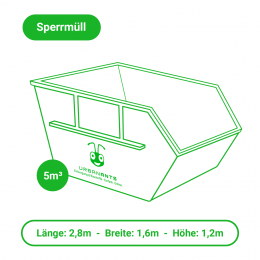 Sperrmüll entsorgen – Container – 5m³