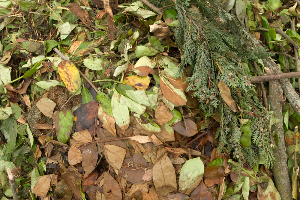 Gartenabfall